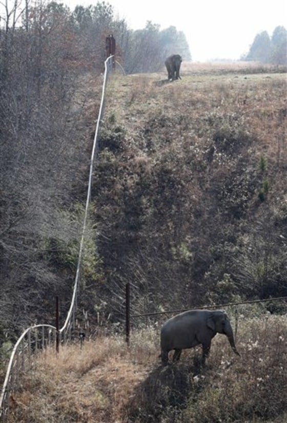 Elephant Sanctuary